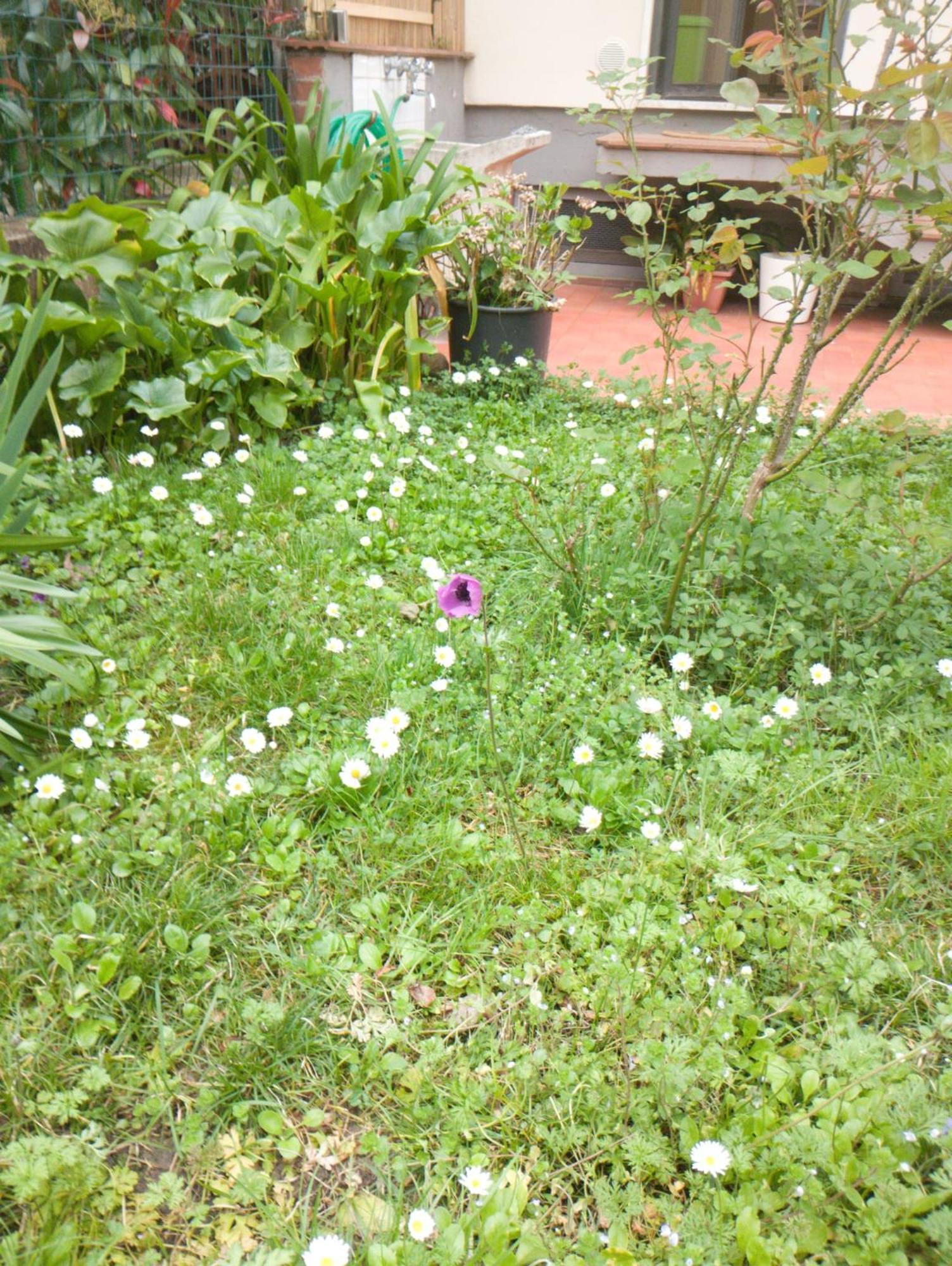 Casa Spadi Apartamento Florencia